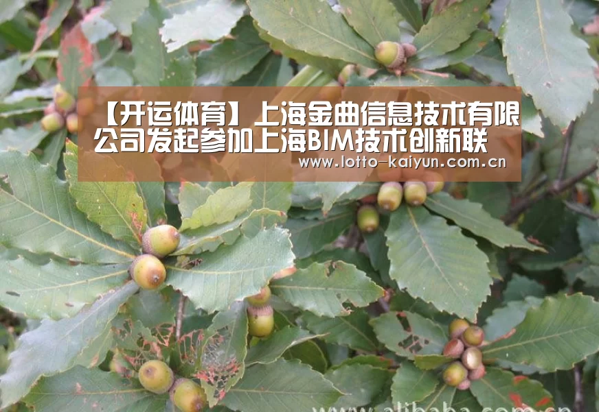 开运体育app